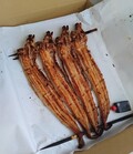 串焼き姿は圧巻