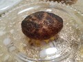 至高のハンバーグ