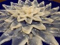 青い皿の上で輝いているふぐ刺し