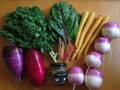 つやつや！朝採り新鮮三浦野菜！