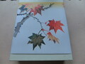 季節を感じさせてくれる紅葉柄