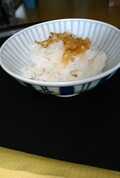 実際に白飯にのせてみました。