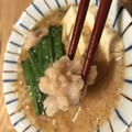プリップリのモツ