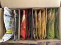 このように入っていました