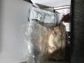 届いたセット