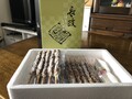 上品