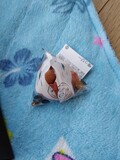まずは、梅