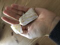 ビスケットはずっしり
