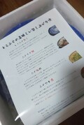 届いたばかり。ひんやりしっかり梱包です