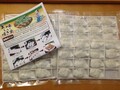 丁寧に並んだ美しい餃子たち！