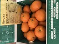 箱を開けるといよかんがいっぱい！