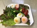 何にでも合います。