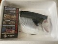 大きい！