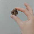 1粒で食べ応えあり！