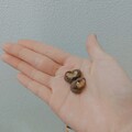 チョコも厚めでおいしい