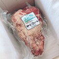迫力しかない！