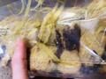 チョコレートがリッチに練り込まれている。