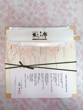 美しい桜を堪能