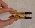 横から見ても美しい。