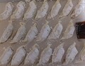 １つ１つ餃子が個別入りです。