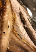 身がふっくら分厚い！