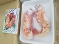 中はこんな感じ