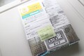 保冷バッグに入って届きます