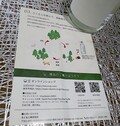 森林保全にも繋がっているクラフト