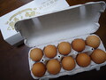 きれいに並んで