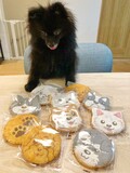 どれから食べようかなぁ