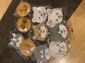 可愛いワンコのラインナップ