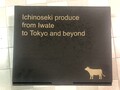 外装の様子