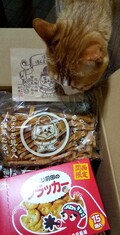 リピ買いは袋のを購入