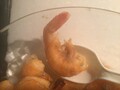 茹でるだけで美味しい