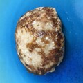 焼いた直後