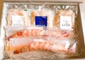 美しく輝く海老たち！