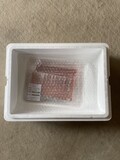 届いた時の様子