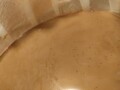 バニラビーンズがすごい！