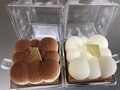 可愛い！美しい！