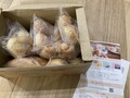 届いた中身