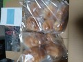 届いた状態。しっかりと冷凍されています。