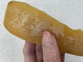 綺麗な黄金色です