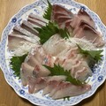 4種のお刺身盛り合わせ