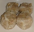 重量感たっぷりの焼売