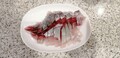 勇シマアジで、ハマチやブリの食感です。