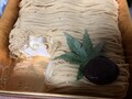 切ってみるとこんな感じ