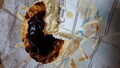 熟成バスクチーズケーキ