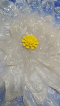 目にも綺麗なふぐ刺し
