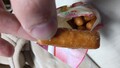 一粒一粒、大きく大満足◎