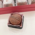 コロンとかわいい♪